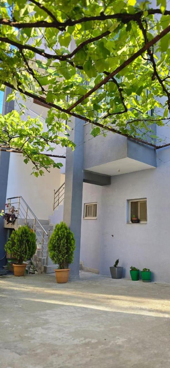 Guest house Mecani